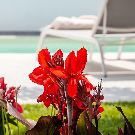 Epavli Boutique Hotel Chania  Eksteriør billede